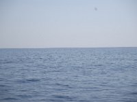 Mallorca 592